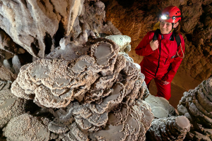 peter gedei škocjan mate 50 pro huawei